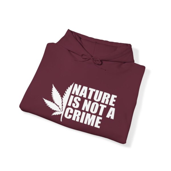 Leaf Smokers "Nature is Not a Crime" Hoodie - Image 43