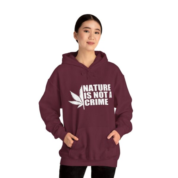 Leaf Smokers "Nature is Not a Crime" Hoodie - Image 45