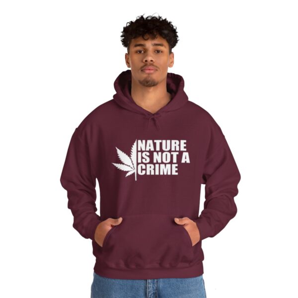 Leaf Smokers "Nature is Not a Crime" Hoodie - Image 46