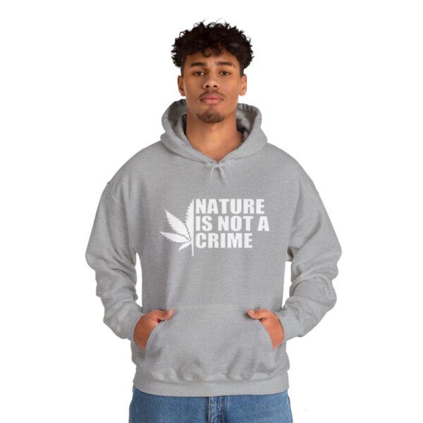Leaf Smokers "Nature is Not a Crime" Hoodie - Image 33