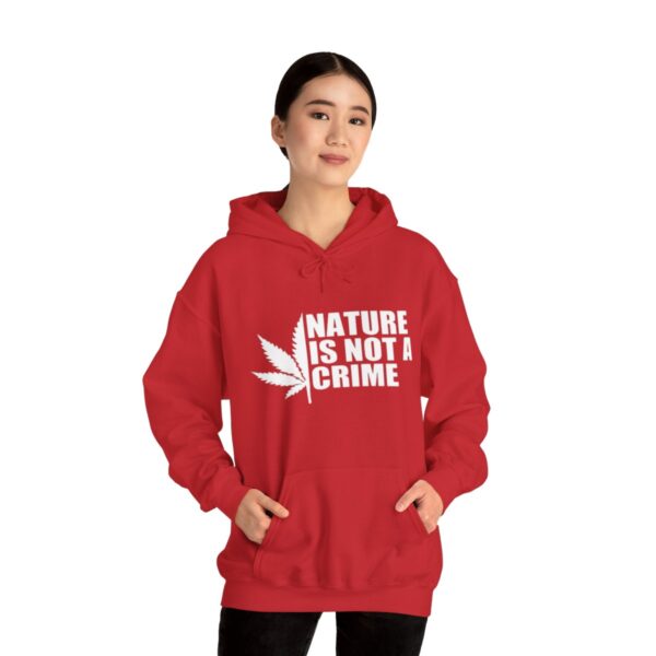 Leaf Smokers "Nature is Not a Crime" Hoodie - Image 123