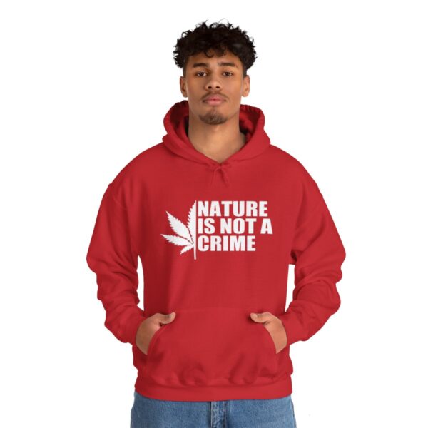 Leaf Smokers "Nature is Not a Crime" Hoodie - Image 124