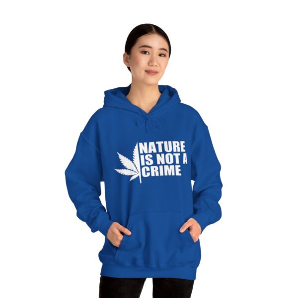 Leaf Smokers "Nature is Not a Crime" Hoodie - Image 97
