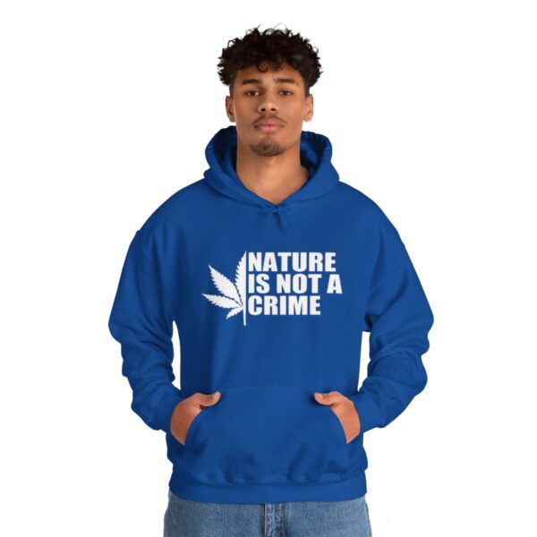 Leaf Smokers "Nature is Not a Crime" Hoodie - Image 98