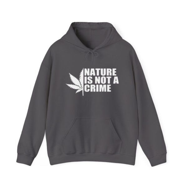 Leaf Smokers "Nature is Not a Crime" Hoodie