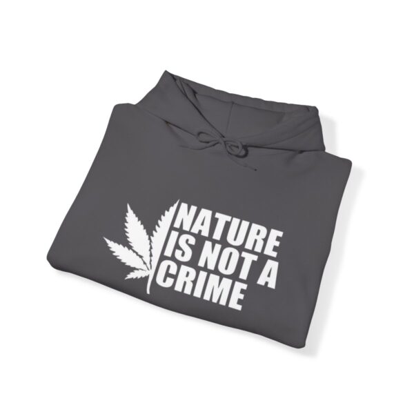 Leaf Smokers "Nature is Not a Crime" Hoodie - Image 4