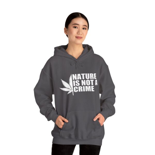 Leaf Smokers "Nature is Not a Crime" Hoodie - Image 6