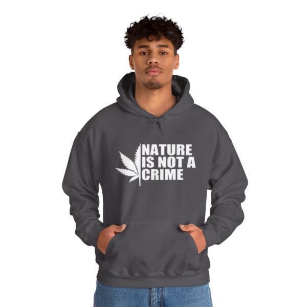 Leaf Smokers "Nature is Not a Crime" Hoodie - Image 7